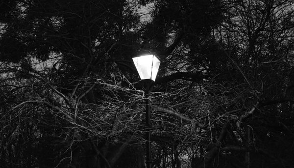 Streetlight-Effect.jpeg