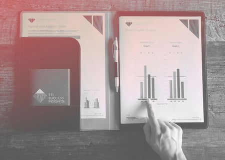 DISC-assessment-results