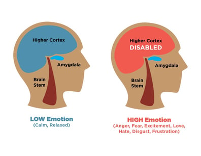 Brain map of an emotional hijack
