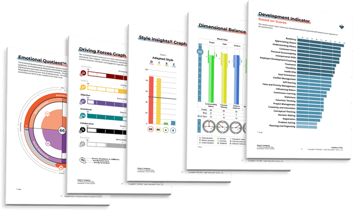 DISC 12 Driving Forces EQ Compentencies and Acumen report pages